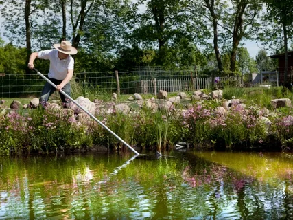 Pond Cleaning Surrey: Professional Solutions for a Clearer, Healthier Garden Pond